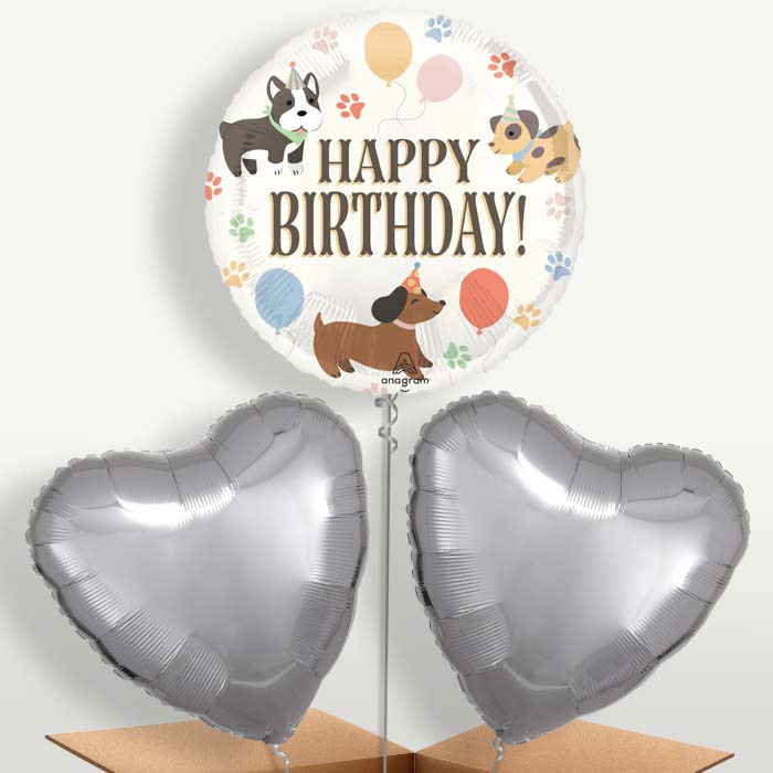 Dog Happy Birthday Bunch of Balloons inflated with Helium | Small Indoor Plants