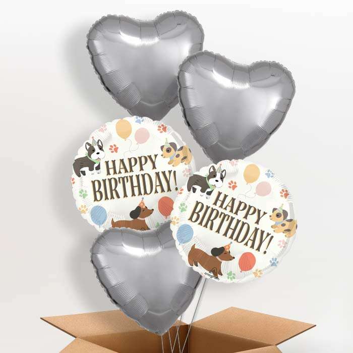 BOX4655601-5-Balloons_5f9e87dd-c896-406d-b963-ae773a73626d