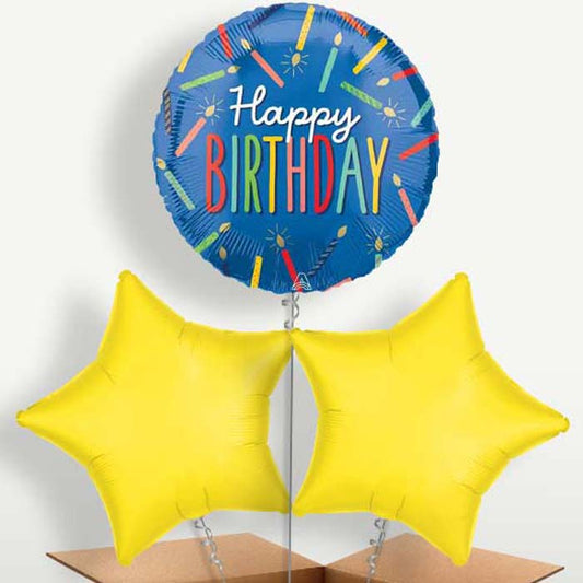 Blue Happy Birthday Candles Bunch of Balloons | Small Indoor Plants