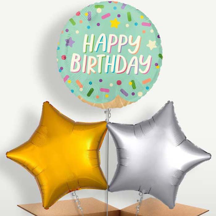 Ice Cream Sprinkles Balloon Bunches inflated with Helium | Small Indoor Plants