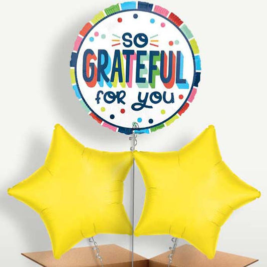 So Grateful for You Helium Bunch of Balloons | Small Indoor Plants