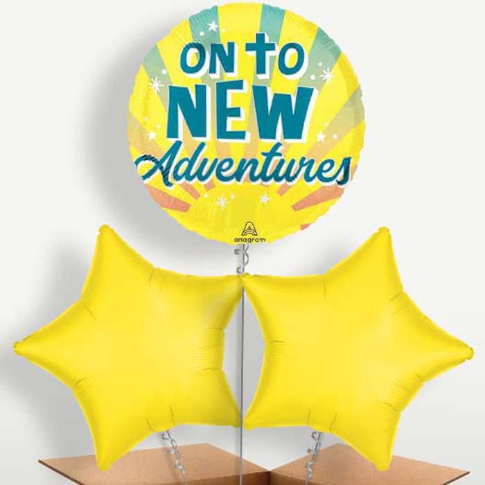 On To New Adventures Balloon Bunch inflated with Helium | Small Indoor Plants