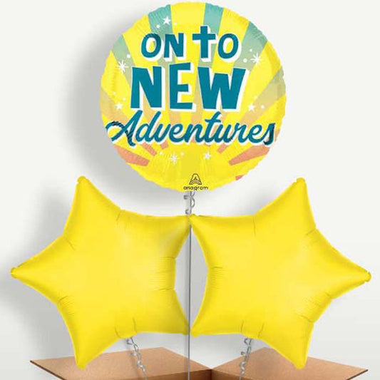 On To New Adventures Balloon Bunch inflated with Helium | Small Indoor Plants