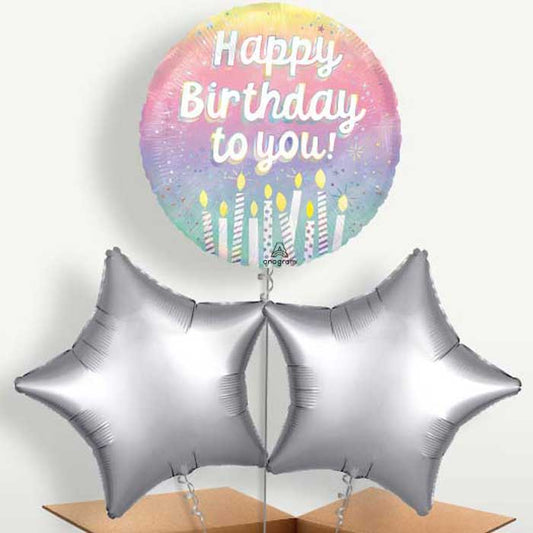 Birthday Cake Candles Happy Birthday To You Bunch of Balloons | Small Indoor Plants