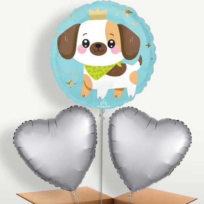 Kawaii Puppy Bunch of Balloons Inflated with Helium | Small Indoor Plants