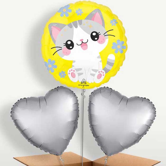 Kawaii Kitten Bunch of Balloons Inflated with Helium | Small Indoor Plants