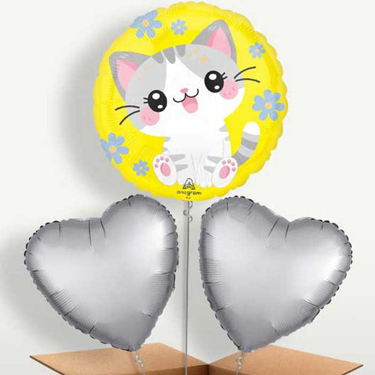 Kawaii Kitten Bunch of Balloons Inflated with Helium | Small Indoor Plants