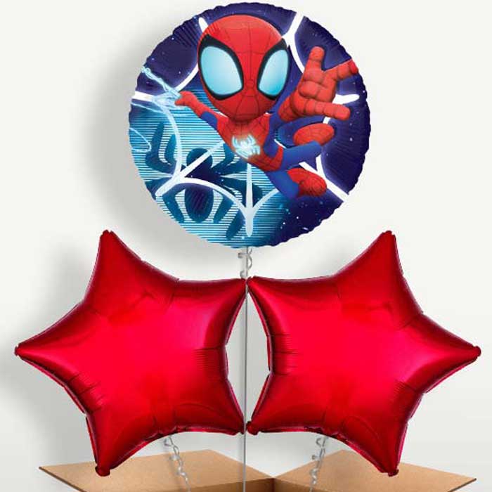 Spidey & His Amazing Friends Bunch of Balloons | Small Indoor Plants