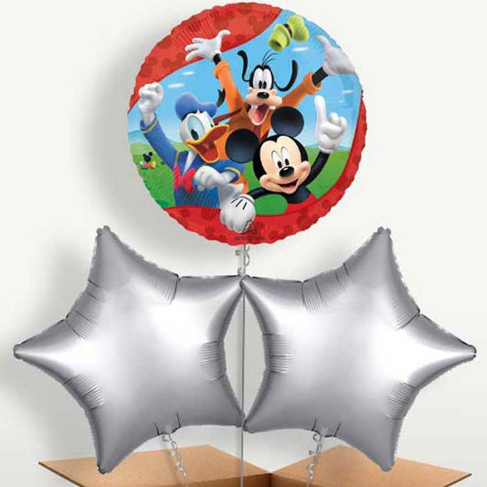 Mickey & Minnie Mouse & Friends Bunch of Balloons | Small Indoor Plants