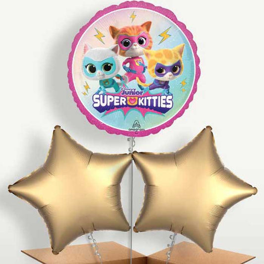 Super Kitties Bunch of Balloons Inflated with Helium | Small Indoor Plants