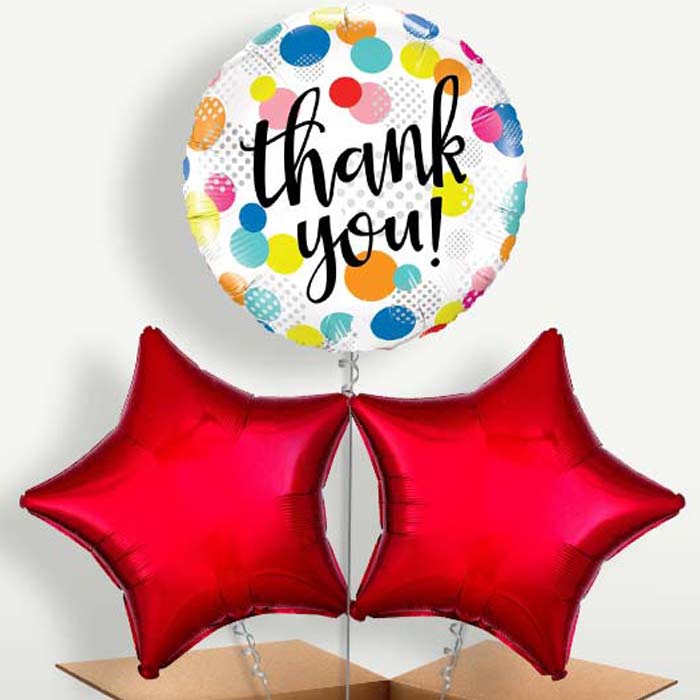 Thank You Polka Dots Helium Bunch of Balloons | Small Indoor Plants