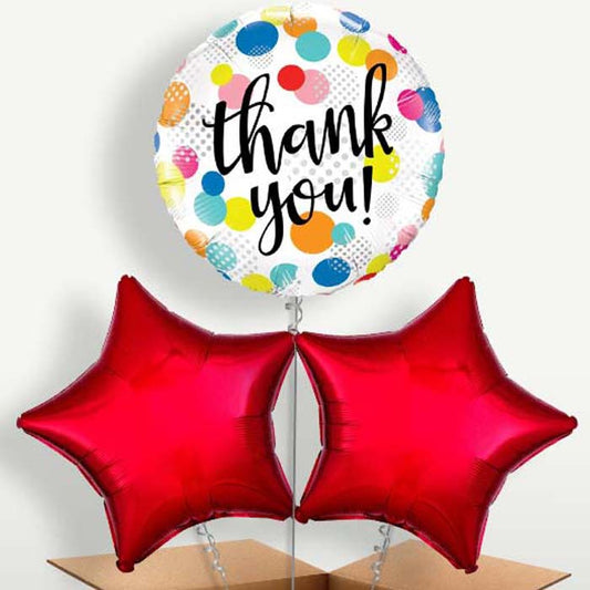 Thank You Polka Dots Helium Bunch of Balloons | Small Indoor Plants