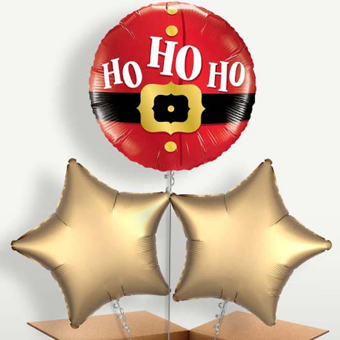 Santa Ho Ho Ho Helium Bunch of Balloons | Small Indoor Plants
