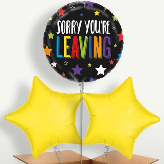 Sorry Your Leaving Stars Helium Bunch of Balloons | Small Indoor Plants