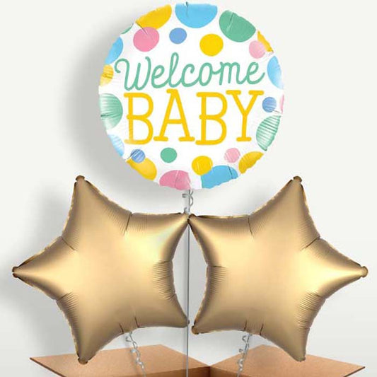 Welcome Baby Blue Helium Bunch of Balloons | Small Indoor Plants