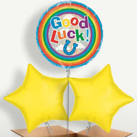 Good Luck Horse Shoe Trio Balloon Bunch inflated with Helium | Small Indoor Plants