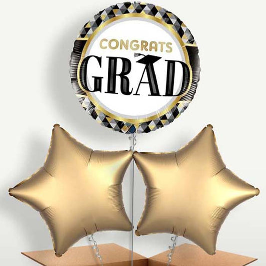 Black Gold Silver Graduation Bunch of Balloons | Small Indoor Plants