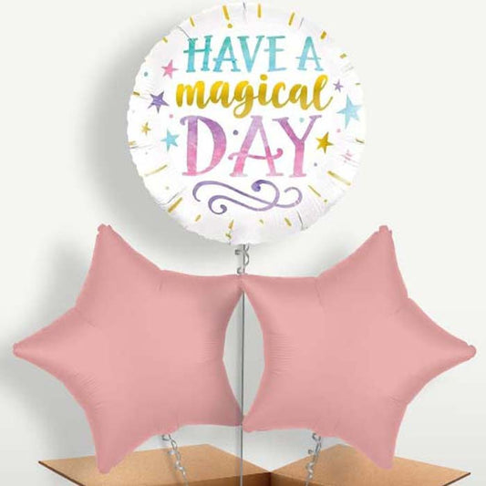 Have a Magical Day Balloons in a Bunch Inflated with Helium | Small Indoor Plants