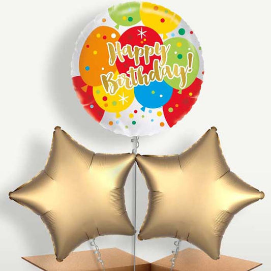 Colourful Birthday Bunch of Balloons inflated with Helium | Small Indoor Plants
