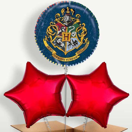 Blue Harry Potter Bunch of Balloons inflated with Helium | Small Indoor Plants