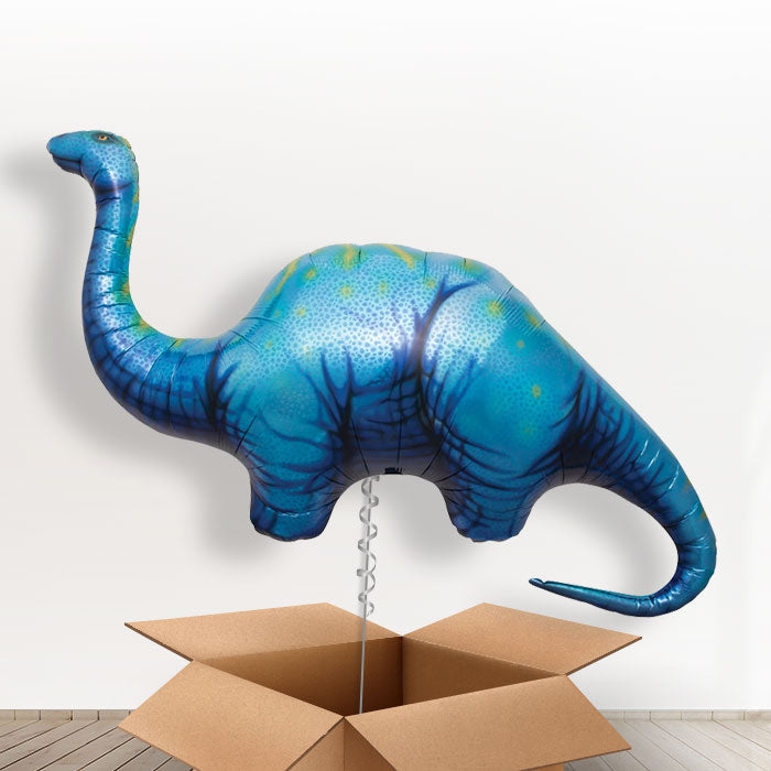 Apatosaurus Balloon Dinosaur in a Box Gift - Giant Balloon | Small Indoor Plants