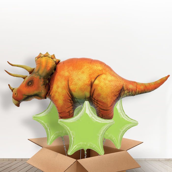 Triceratops Giant Dinosaur Helium Balloon in a Box - With 3 Plain Balloons | Small Indoor Plants