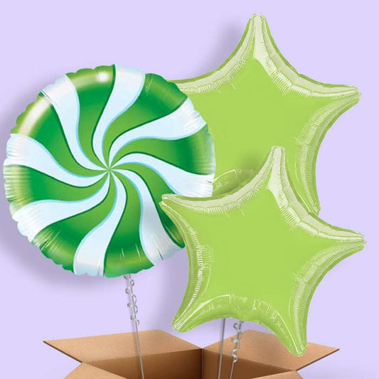 Green Candy Swirl Balloon in a Box - 3 Balloon | Small Indoor Plants
