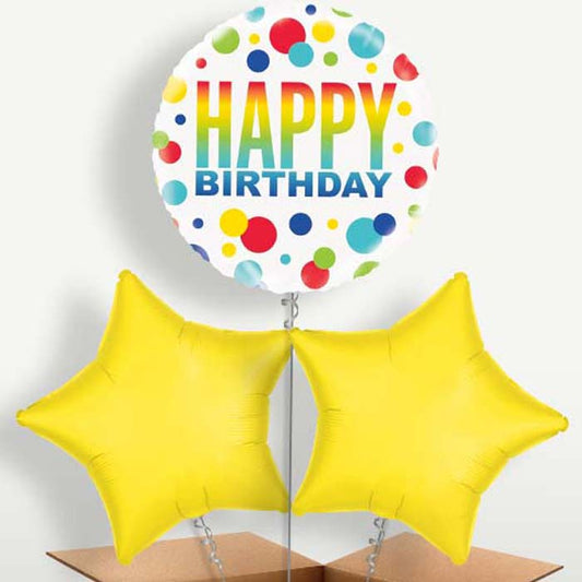 Happy Birthday Rainbow Polka Dot Balloons in a Bunch | Small Indoor Plants