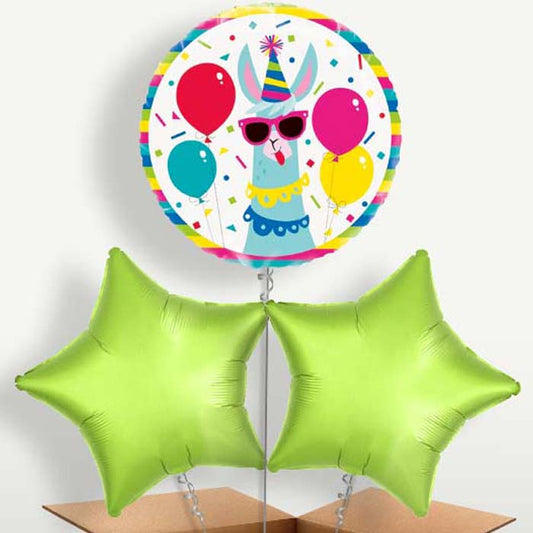 Llama Birthdays Balloon Bunches inflated with Helium | Small Indoor Plants