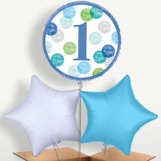 Blue Dots 1st Birthday Bunch of Balloons | Small Indoor Plants