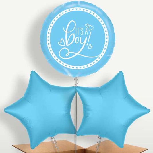 Blue It's a Baby Boy Bunch of Balloons inflated with Helium | Small Indoor Plants