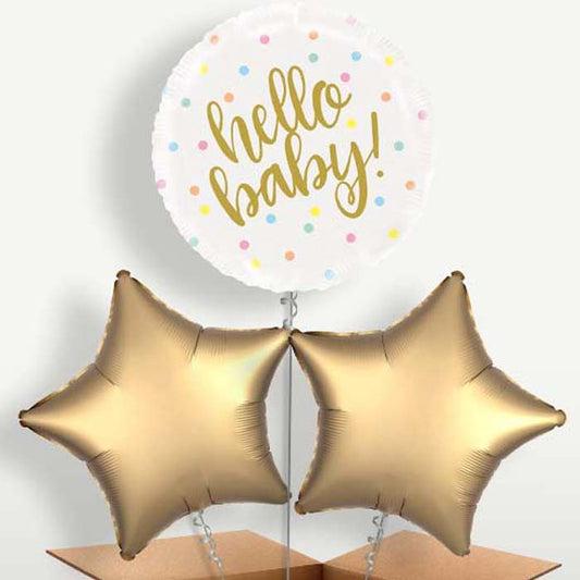 Hello Baby New Baby Balloons in a Bunch Inflated with Helium | Small Indoor Plants
