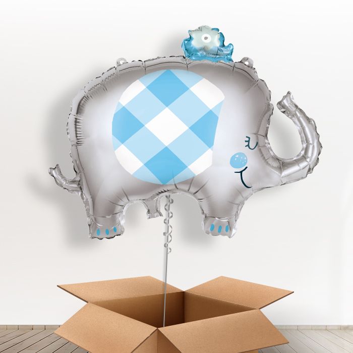 Blue Elephant Balloons in a Box - Giant Balloon | Small Indoor Plants