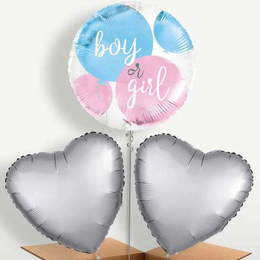Boy or Girl Gender Reveal Bunch of Balloons | Small Indoor Plants