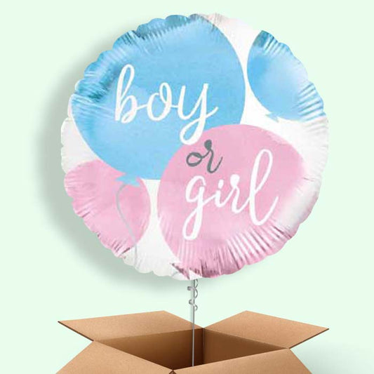 Boy or Girl Gender Reveal Balloons in a Box