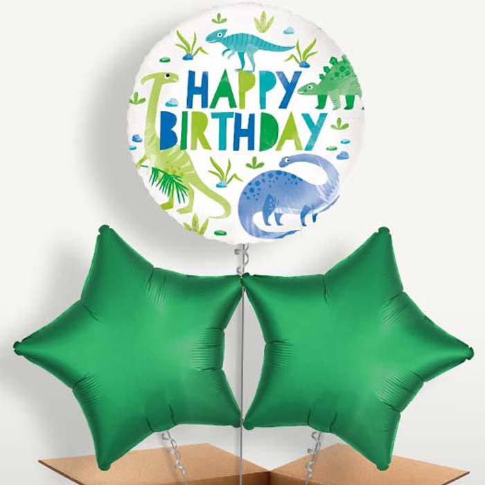 Dinosaur Trio Balloon Bunch inflated with Helium | Small Indoor Plants