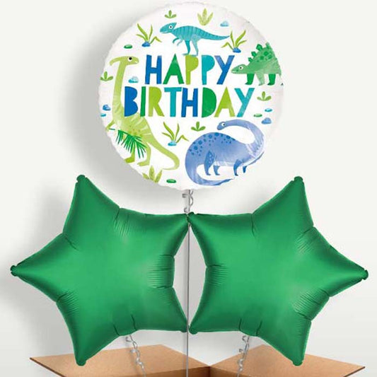 Dinosaur Trio Balloon Bunch inflated with Helium | Small Indoor Plants