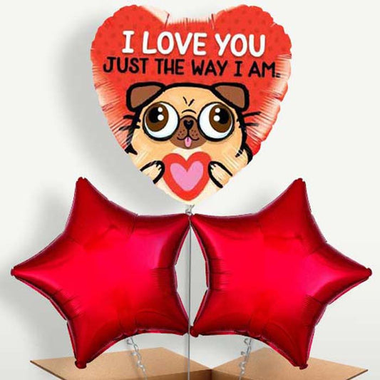 Pug Love Trio Balloon Bunch inflated with Helium | Small Indoor Plants
