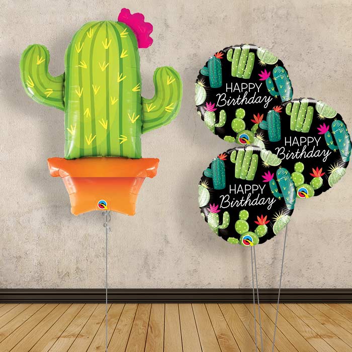 Cactus Balloon Bouquet in a Box