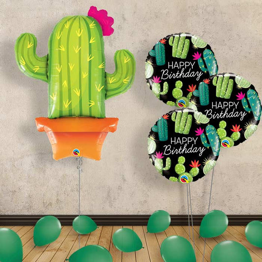 Cactus Balloon Bouquet in a Box