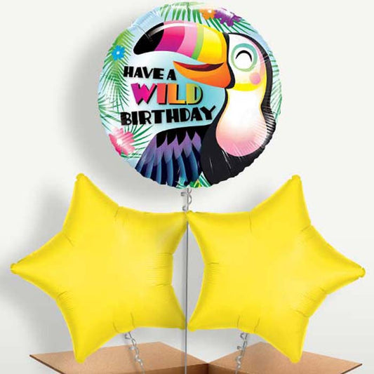 Have a Wild Birthday Toucan Balloons in a Bunch | Small Indoor Plants