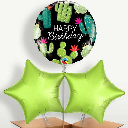 Cactus Happy Birthday (Black) Bunch of Balloons | Small Indoor Plants