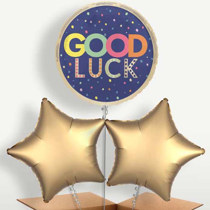 Good Luck Navy Blue Trio Balloon Bunch inflated with Helium | Small Indoor Plants