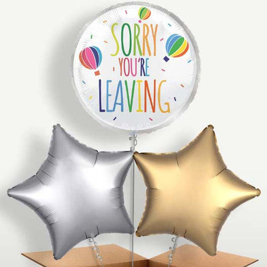 White Sorry You're Leaving Helium Bunch of Balloons | Small Indoor Plants