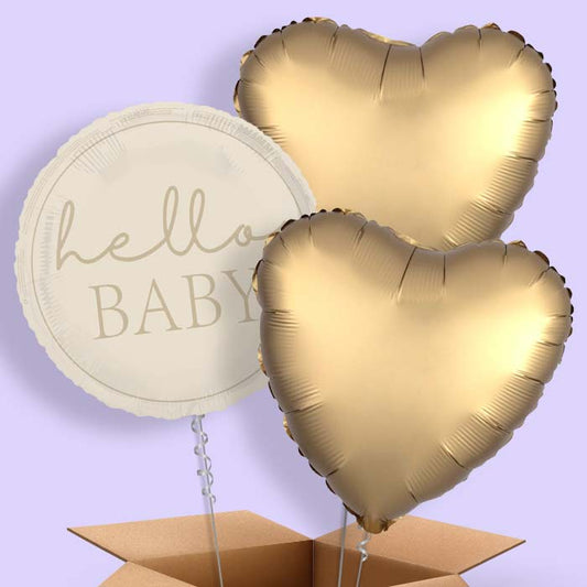 Hello Baby Neutral Baby Shower Foil Balloon in a Box - 3 Balloon | Small Indoor Plants