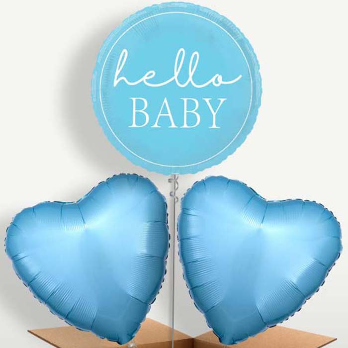 Blue Hello Baby Bunch of Balloons inflated with Helium | Small Indoor Plants