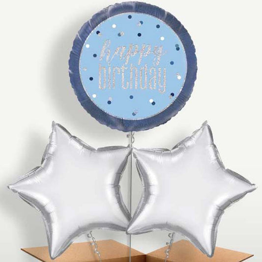 Blue & Silver Holographic Happy Birthday Bunch of Balloons | Small Indoor Plants
