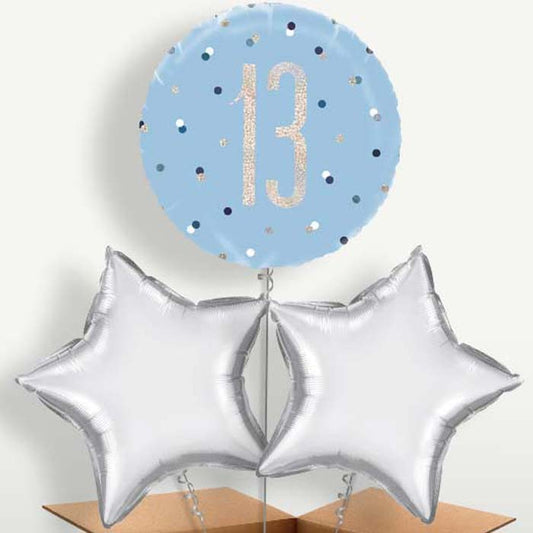 Blue & Silver Holographic 13th Birthday Bunch of Balloons | Small Indoor Plants