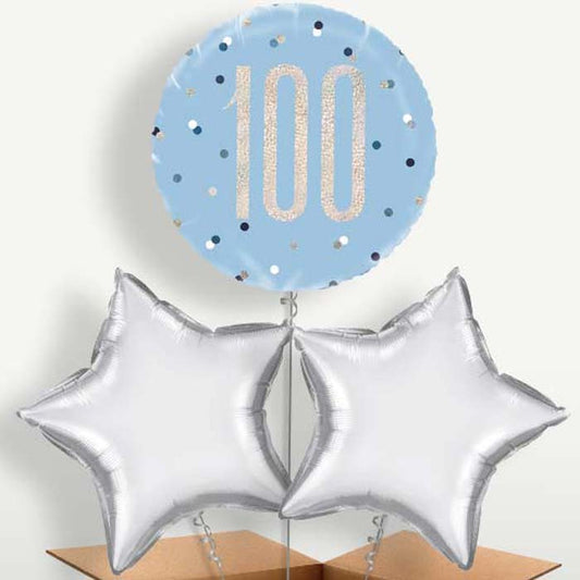Blue & Silver Holographic 100th Birthday Bunch of Balloons | Small Indoor Plants