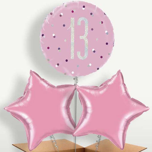 Pink & Silver 13th Birthday Balloon Bunch | Small Indoor Plants